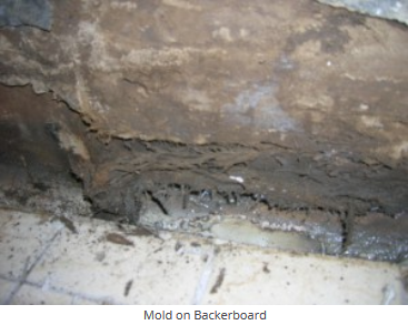 Salem Backboard Mold